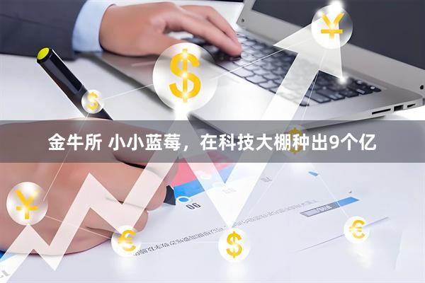 金牛所 小小蓝莓，在科技大棚种出9个亿