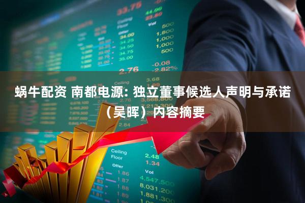 蜗牛配资 南都电源: 独立董事候选人声明与承诺（吴晖）内容摘要