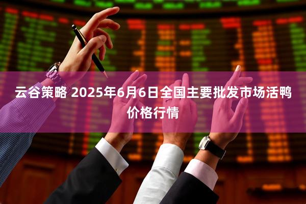 云谷策略 2025年6月6日全国主要批发市场活鸭价格行情