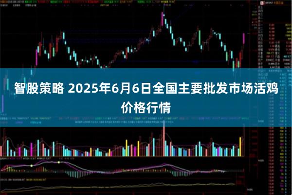 智股策略 2025年6月6日全国主要批发市场活鸡价格行情