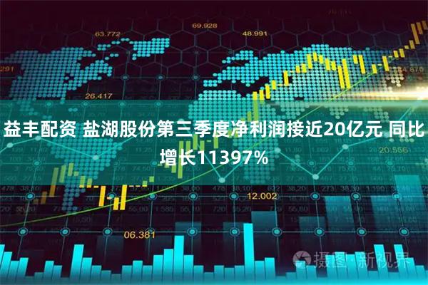 益丰配资 盐湖股份第三季度净利润接近20亿元 同比增长11397%