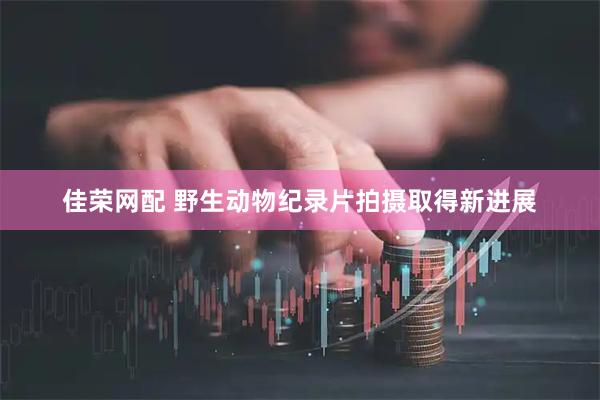佳荣网配 野生动物纪录片拍摄取得新进展